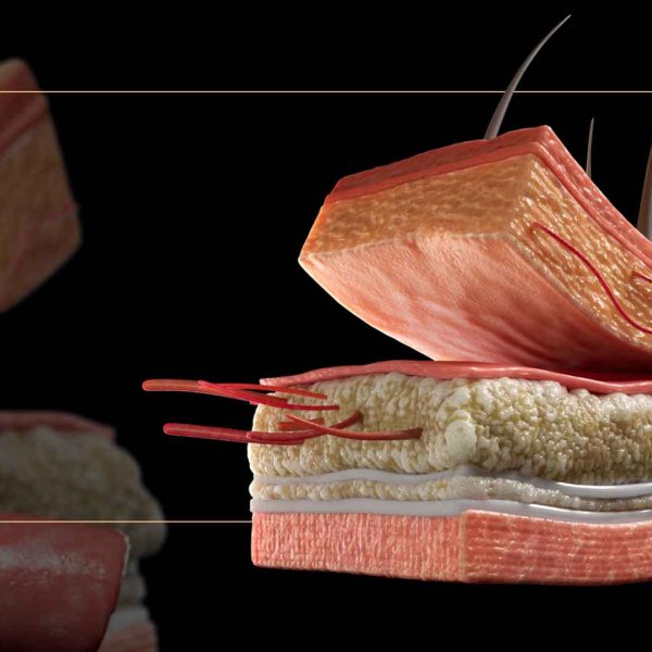Animaciones Médicas 3D